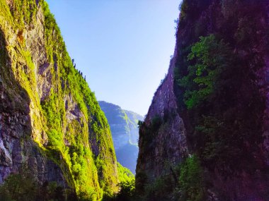 Dağlarda dar bir vadi, Bzyb vadisi, Ritsa Gölü, Abhazya yolu..