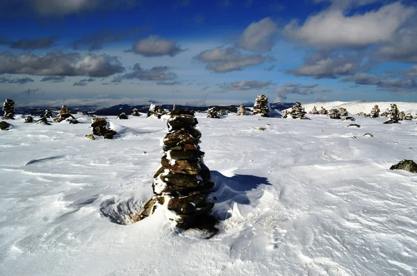 Altay Dağları. Yarlu Vadisi