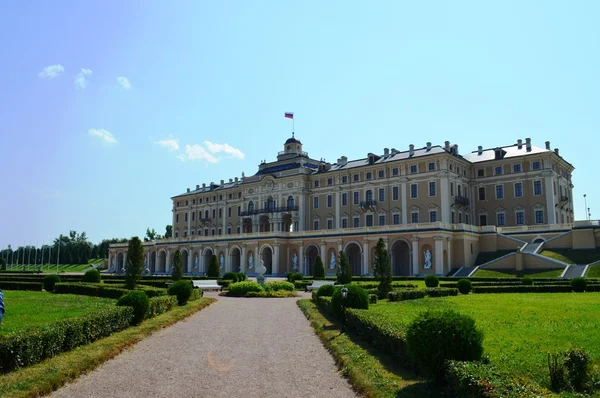 Saint-Petersburg. Smolny katedral manzarası. Şafak.