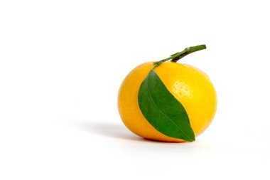 Çiğ meyve - Citrus sinensis (jeruk baby santang) beyaz arka planda izole edilmiş yapraklar, Endonezya 'dan yerel taze meyve. Resim fotoğrafı.