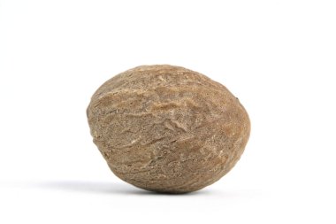 Yakın plan tek hindistan cevizi, beyaz bir arkaplanda izole edilmiş ve stüdyo ışıklandırması var.