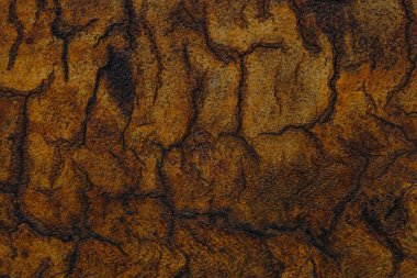 Soyut makro fotoğrafçılık. Ahşap doku ve şablon arkaplan duvar kağıdı fotoğrafı