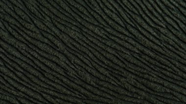 Askeri yeşil kıllı doğal kürk desenli arka plan. Resim fotoğrafı.