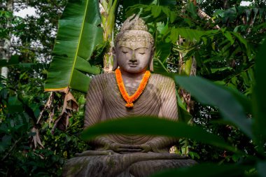 Bali Tropikal Ormanında Buda Heykeli