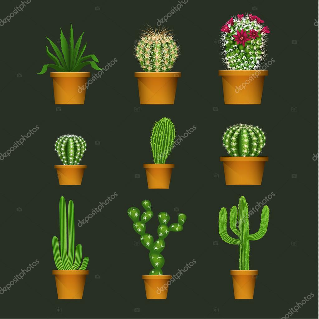Types De Cactus Différents En Icônes De Vecteur Isolé