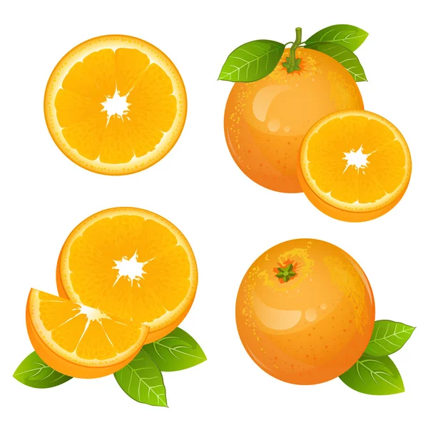 Oranžové ovoce nakrájet sadu. Kolekce realistických citrusové vektorové ilustrace. Šťavnatá oranžová s listy izolované — Stockový vektor