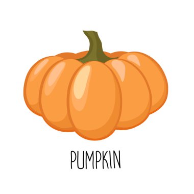 Beyaz arkaplanda kabak izole