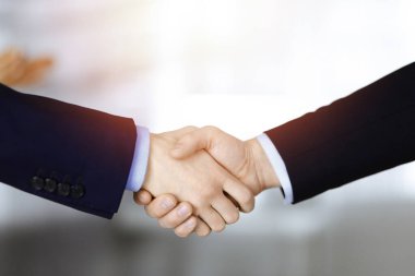 İş adamları toplantıda ya da pazarlıkta el sıkışıyor, yakın plan. Bir grup tanınmamış iş adamı ve bir kadın güneşli bir modern ofiste bir arada duruyorlar. Takım çalışması, ortaklık ve el sıkışma kavramı