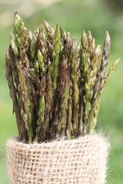 Bunch of wild asparagus — Stock Photo, Image
