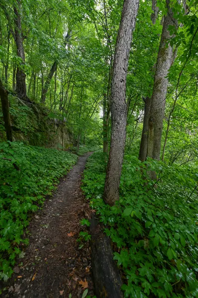 Eski bir madenin kayalıkları boyunca patika