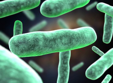 Üç boyutlu kök hücrenin üç boyutlu çizimi. Nükleolus, çekirdek, ökaryotik hücrenin çekirdeği. İnsan vücut hücresi.