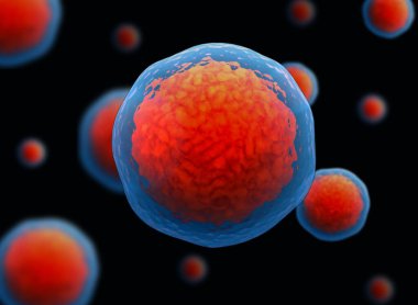 Üç boyutlu kök hücrenin üç boyutlu çizimi. Nükleolus, çekirdek, ökaryotik hücrenin çekirdeği. İnsan vücut hücresi