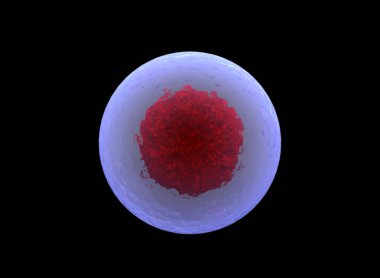 Üç boyutlu kök hücrenin üç boyutlu çizimi. Nükleolus, çekirdek, ökaryotik hücrenin çekirdeği. İnsan vücut hücresi.