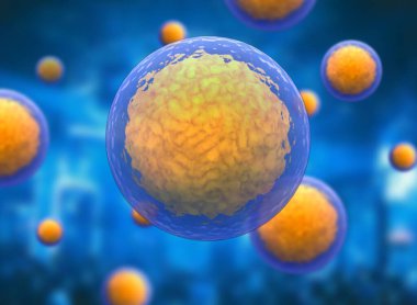 Kök hücrenin 3 boyutlu çizimi. Nükleolus, çekirdek, ökaryotik hücrenin çekirdeği. İnsan vücut hücresi