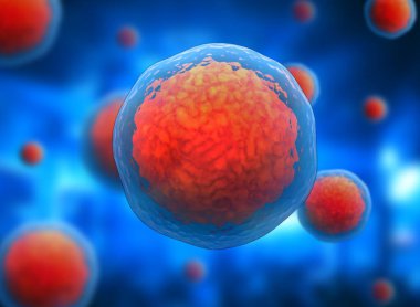 Kök hücrenin 3 boyutlu çizimi. Nükleolus, çekirdek, ökaryotik hücrenin çekirdeği. İnsan vücut hücresi