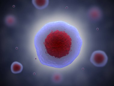 Kök hücrenin 3 boyutlu çizimi. Nükleolus, çekirdek, ökaryotik hücrenin çekirdeği. İnsan vücut hücresi