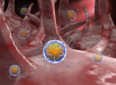  3 boyutlu üretilmiş, bağırsaklarda virüsün 3 boyutlu çizimi.