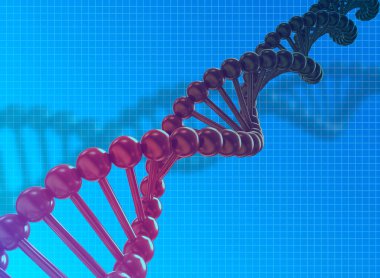 DNA dizgilerinin 3d çizimi