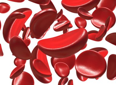 Kırmızı Kan Hücrelerinin 3d çizimi