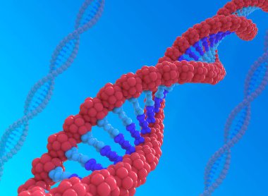 DNA dizgilerinin 3d çizimi