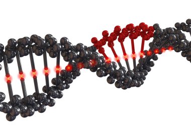 Hasarlı DNA dizgilerinin 3 boyutlu çizimi.