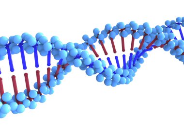 DNA dizgilerinin 3d çizimi