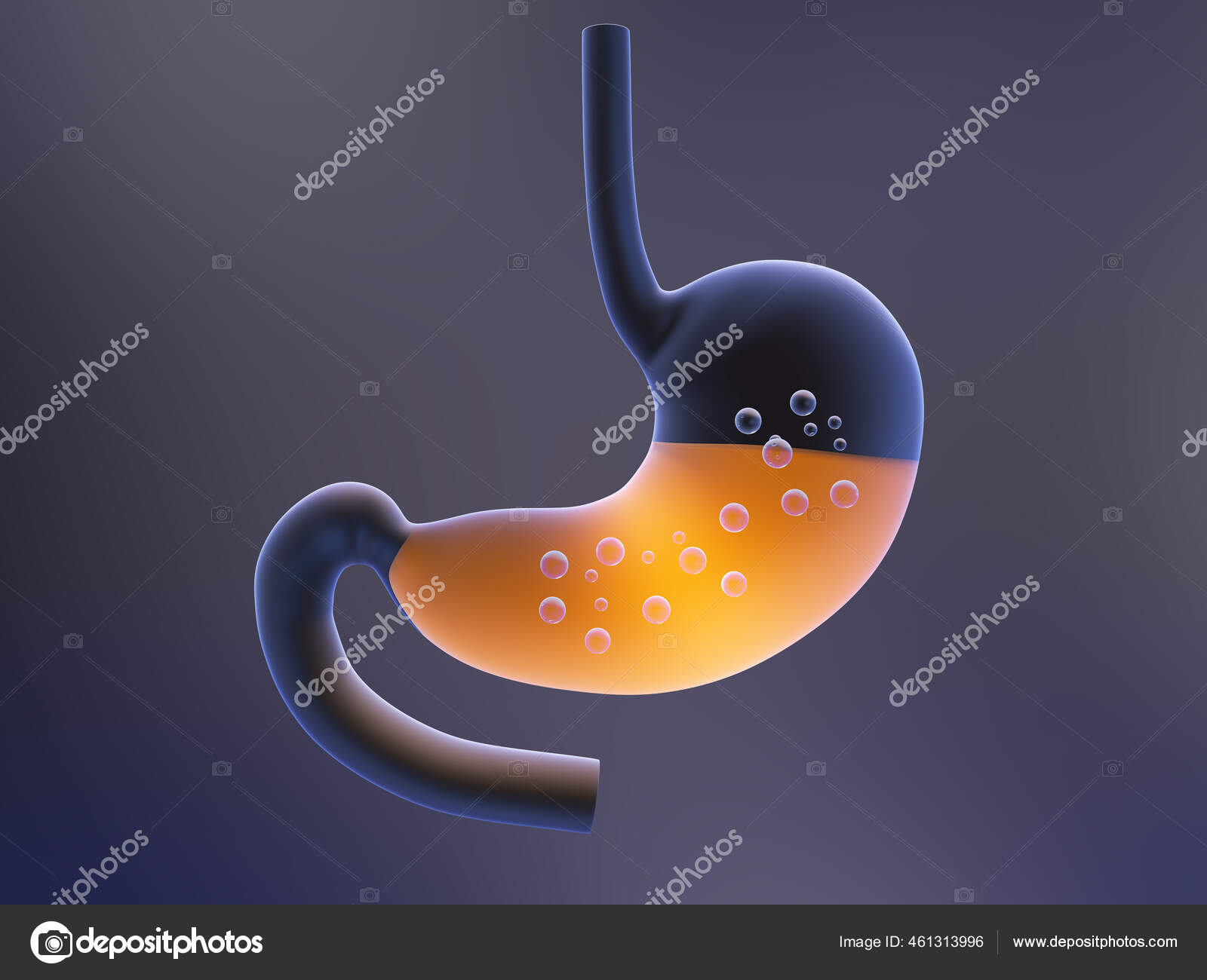 Illustration Human Stomach Hydrochloric Acid Stock Photo by