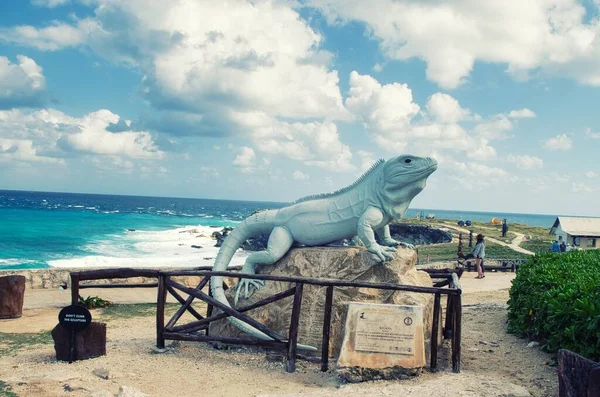 Isla Mujeres Mexico February 2016 Statue Large Black Spiny Hailed — стоковое фото