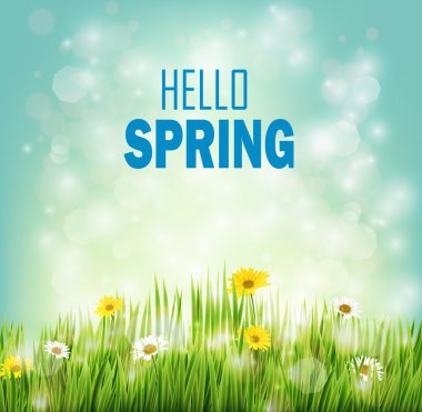 Bahar arka plan ile çimen çiçekler papatya