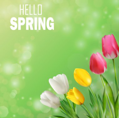 Lale çiçek bokeh arka plan ile