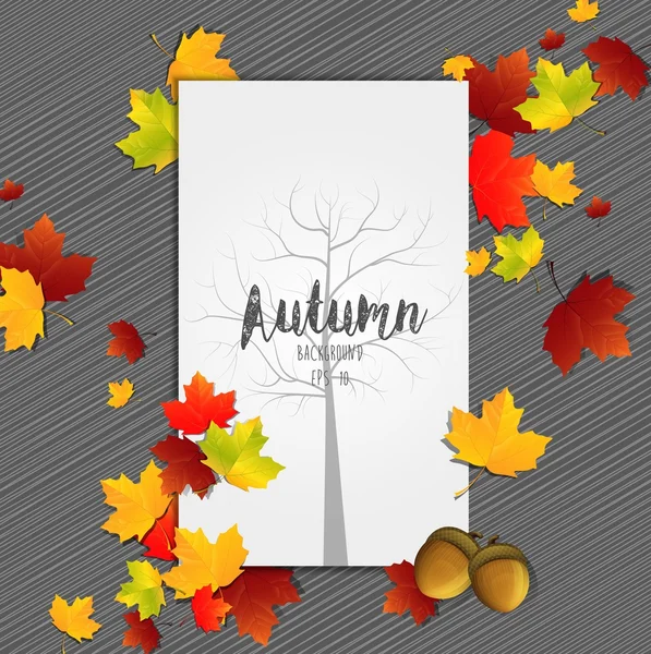 Marco de hojas de otoño con silueta de árbol en papel central — Vector de stock