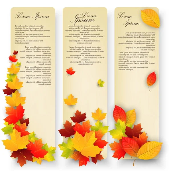 Herfstbladeren banners — Stockvector