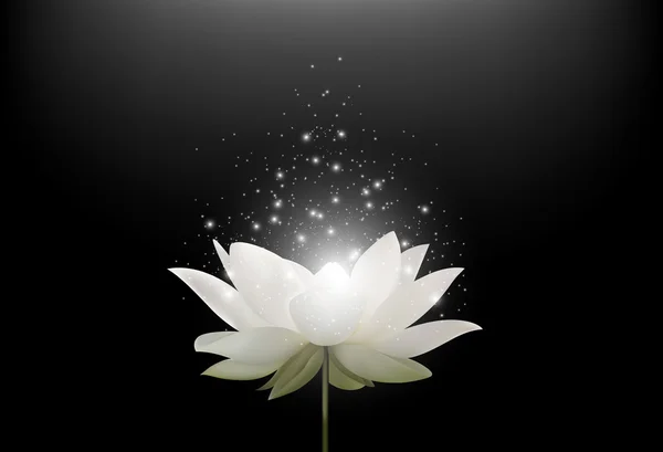 Волшебный белый цветок лотоса на черном фоне — стоковый вектор
