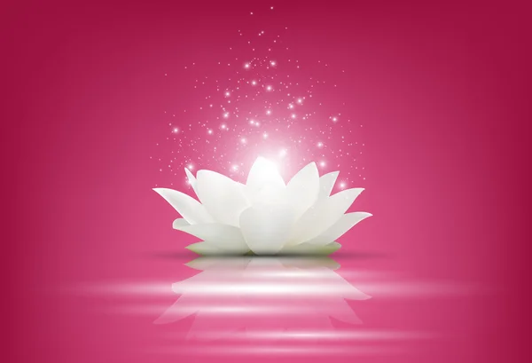 Pembe bir arka plan üzerinde sihirli beyaz Lotus çiçeği