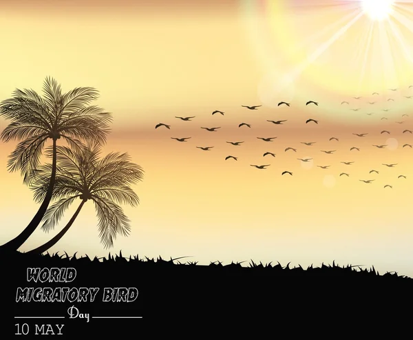 Stěhovaví ptáci den v západu slunce světlo — Stockový vektor