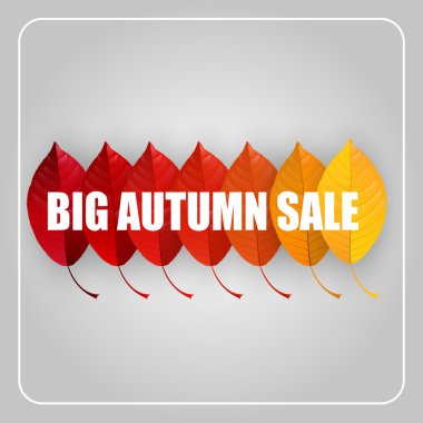 Renkli sonbahar yaprakları