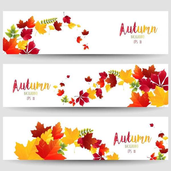 Kleurrijke herfstbladeren van banners — Stockvector