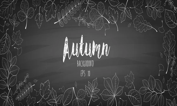Осенние листья, написанные мелом на черной доске — стоковый вектор