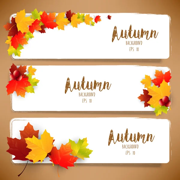 Kleurrijke herfstbladeren van banners — Stockvector