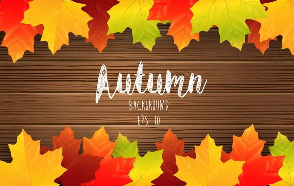 Autumn maples leaves on wooden background — Stock Vector