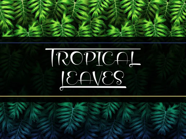 Vector Illustration Exotic Pattern Tropical Leaves Black Background — Stock Vector