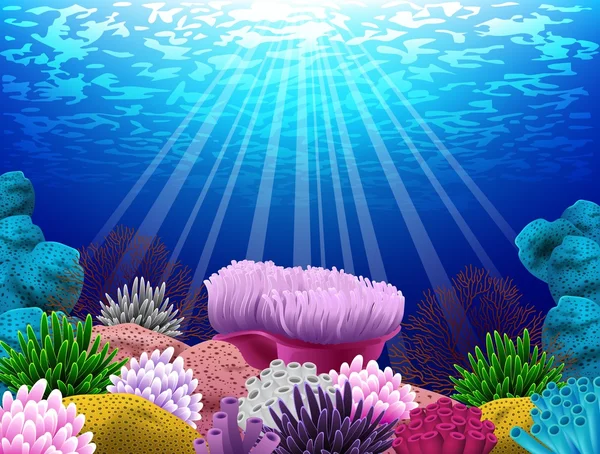 Морське дно, де є корали і мушлі — стоковий вектор