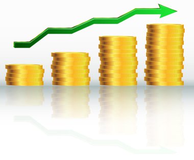 Mali başarı kavramı