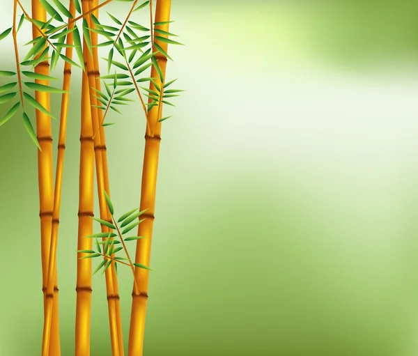 Bambu no velho grunge verde e branco textura fundo — Vetor de Stock