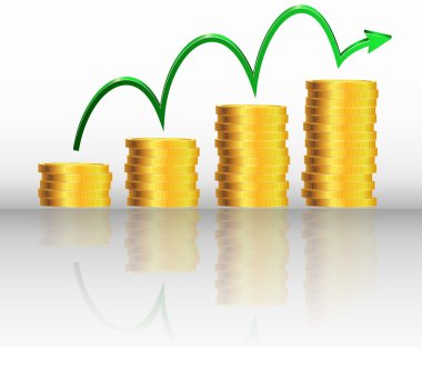 Mali başarı kavramı