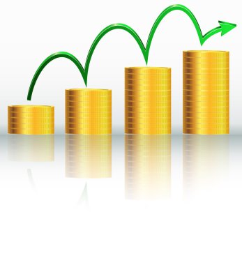 Mali başarı kavramı