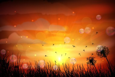 Gündoğumu ve yusufçuk