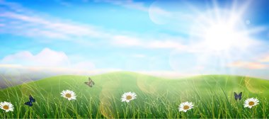 Beautiful spring meadow clipart