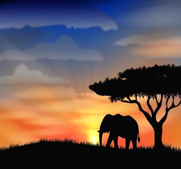 Puesta de sol en África — Vector de stock