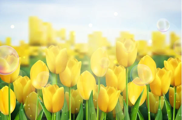 Tulipanes amarillos flores en el jardín — Vector de stock